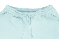 NEW YORK YANKEES COLOR ERA FRESH MINT REGULAR KNIT SHORTS