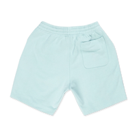 NEW YORK YANKEES COLOR ERA FRESH MINT REGULAR KNIT SHORTS