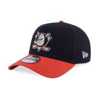Anaheim Ducks NHL Team Logo 2-Tone Orange Visor Black 9Forty AF Cap