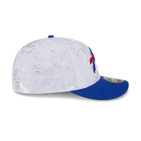 2025 5950 DAY 59Fifty Low Profile 27041 Buffalo Bill