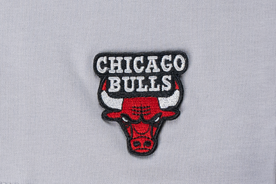 Chicago Bulls Basketball Tonal Pack Dolphin Gray Oversized Short Sleeve T-Shirt