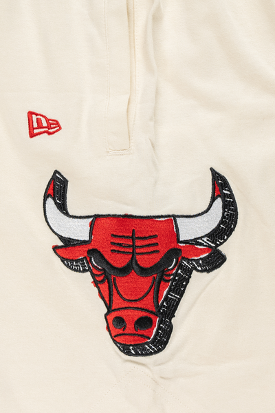 Chicago Bulls NBA Doodles Chrome White Knit Shorts