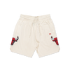 Chicago Bulls NBA Doodles Chrome White Knit Shorts