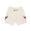 Chicago Bulls NBA Doodles Chrome White Knit Shorts