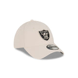 LAS VEGAS RAIDERS STONE 39THIRTY CAP