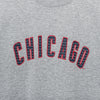 Apparel MLB Mesh Print Chicago Cubs